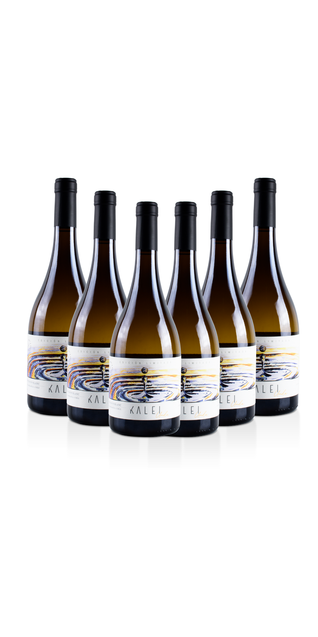 Sauvignon Blanc 2022 Caja 6 Botellas