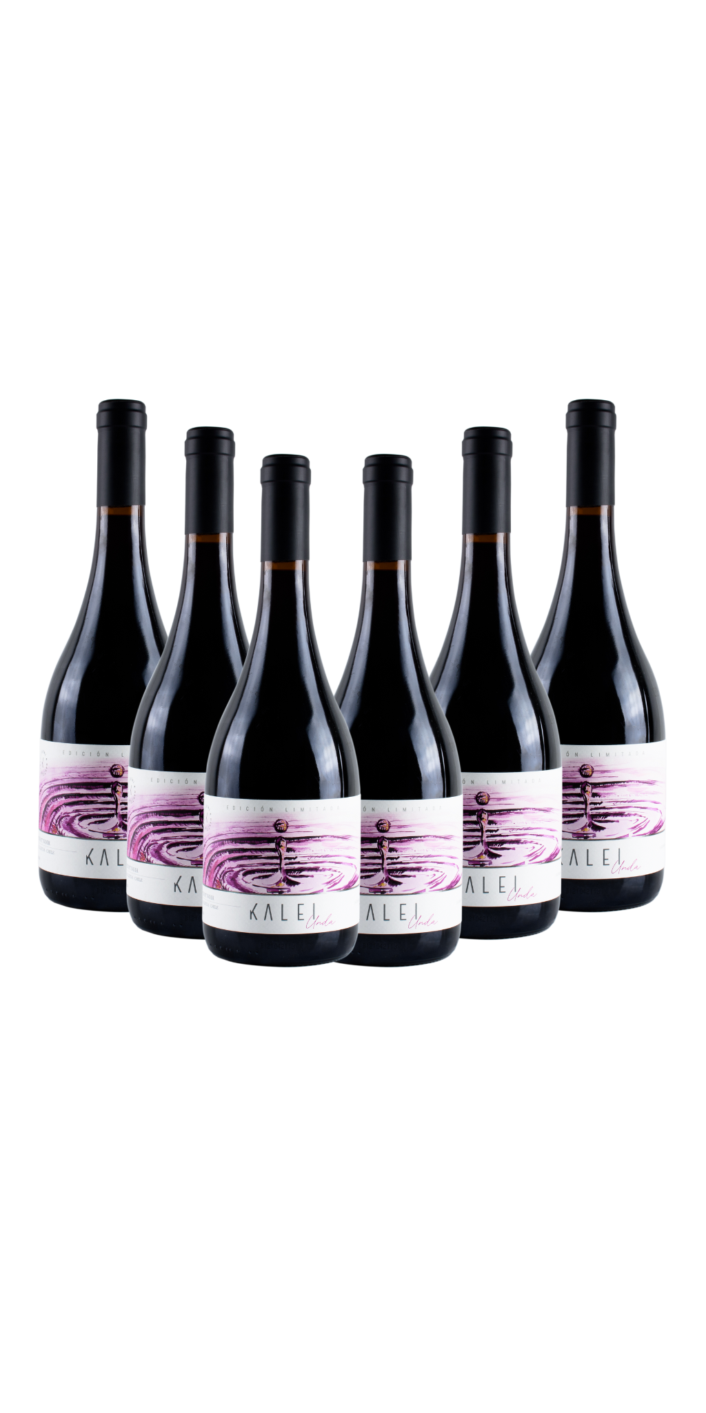 Pinot Noir x 6